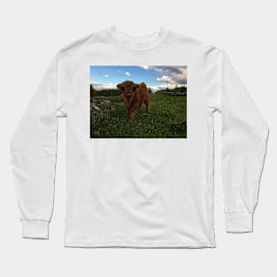 Scottish Highland Cattle Calf 1774 Long Sleeve T-Shirt